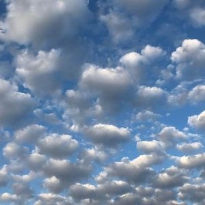 Meet your Posher, Freda